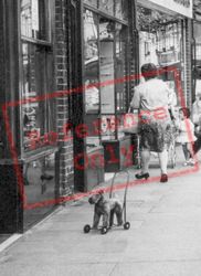 Toy Dog c.1965, Sidcup