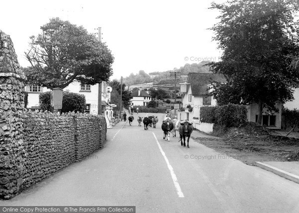 Photo of Sidford, Church Street c.1955