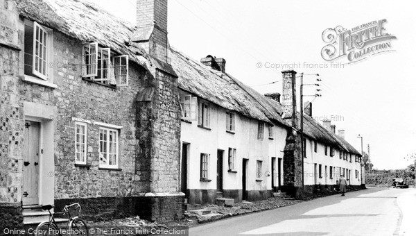 Photo of Sidford, Old Cottages, School Street c.1955