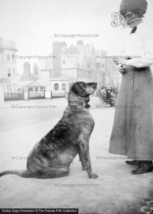 Photo of Sidmouth, 1911
