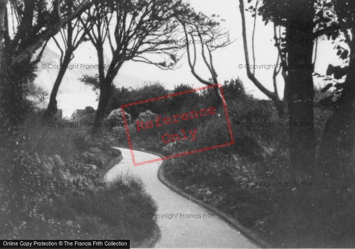 Photo of Sidmouth, Cliffs From Connaught Gardens c.1950