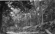Harpford Woods 1914, Sidmouth