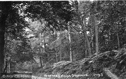 Harpford Woods 1914, Sidmouth