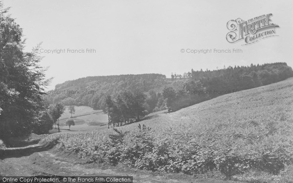 Photo of Sidmouth, Muttersmoor 1931