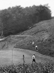 Muttersmoor, Golf Links 1931, Sidmouth
