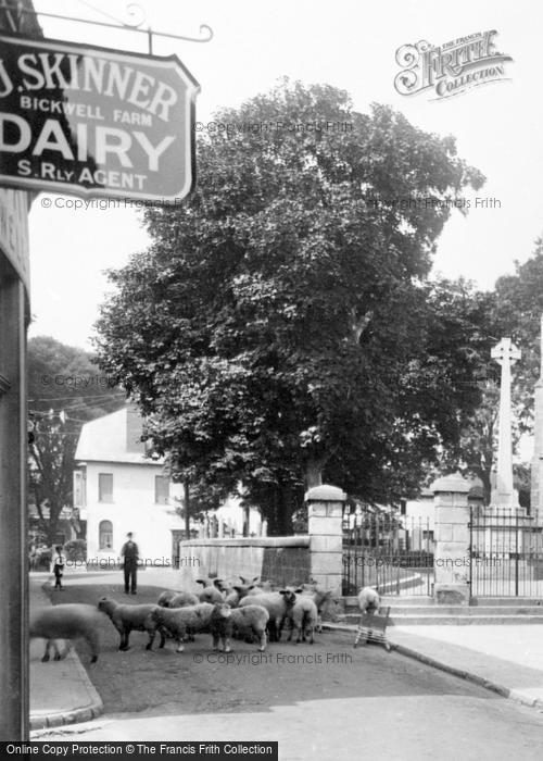 Photo of Sidmouth, Sheep In Church Street 1924