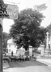 Sheep In Church Street 1924, Sidmouth