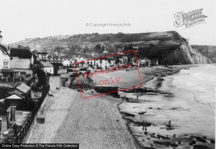 Photo of Sidmouth, View From Connaught Gardens c.1950