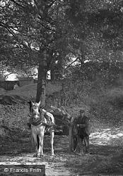 A Horse Cart c.1910, Silsden