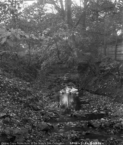 Photo of Silsden, Ducks At Green Beck c.1910