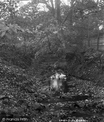 Ducks At Green Beck c.1910, Silsden