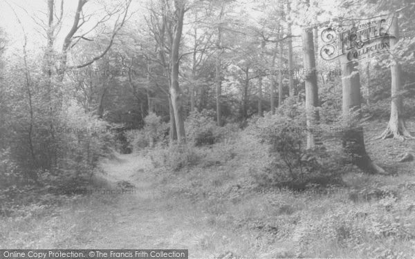 Photo of Silverdale, Eaves Woods c.1960