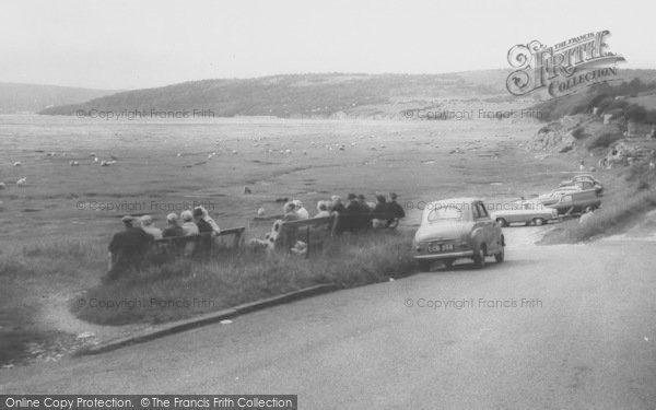 Photo of Silverdale, Watching Sheep On The Shore c.1960