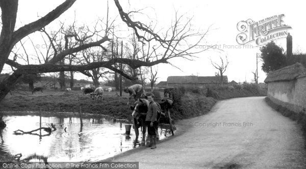 Photo of Sixpenny Handley, Frogmore Pond c.1950