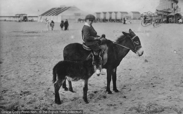 Photo of Skegness, Donkey And Foal 1910