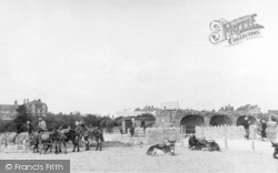 Donkeys On The Beach c.1950, Skegness
