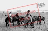 Donkeys, The Beach c.1965, Skegness