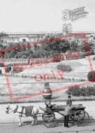 Horse Carriage And Buoy , Compass Gardens c.1960, Skegness