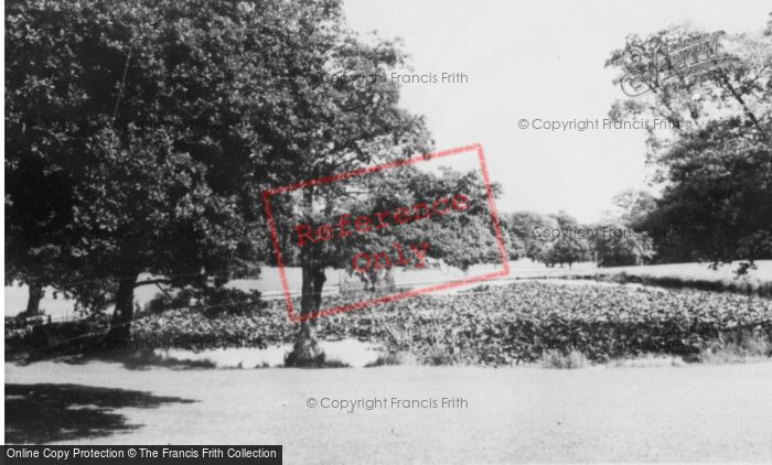 Photo of Sketty, Singleton Park, Lily Pond c.1950