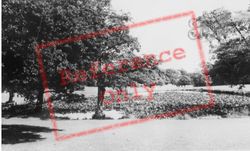 Singleton Park, Lily Pond c.1950, Sketty