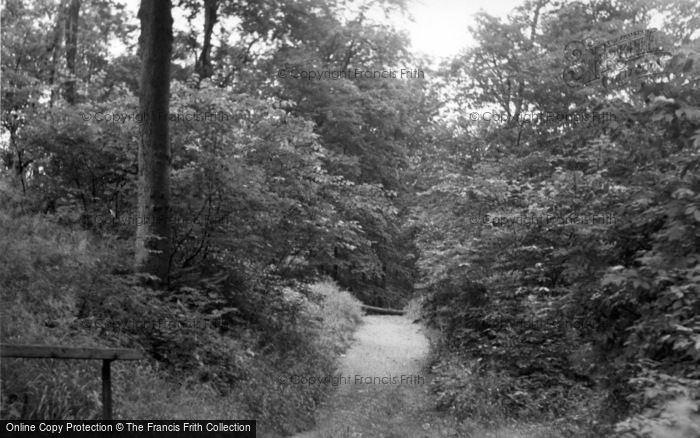 Photo of Skipton, Castle Woods c.1955