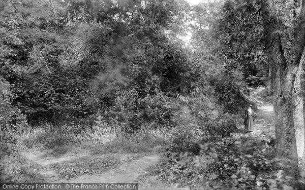 Photo of Skipton, Woods 1893