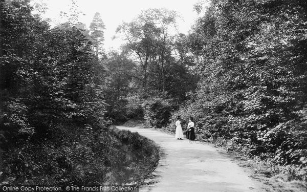 Photo of Skipton, Woods 1911