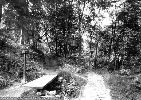 Photo of Skipton, Woods Bridge 1893