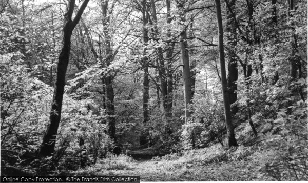 Photo of Skipton, Woods c.1955