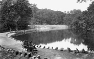 Woods, The Mill Dam 1911, Skipton
