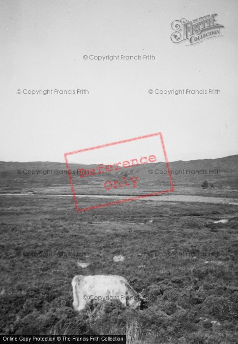 Photo of Skye, c.1935