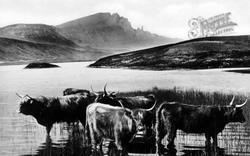 Skye, Loch Fada And Storr Rock c.1930, Isle Of Skye
