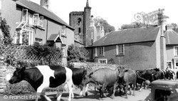 Milking Time c.1960, Slapton