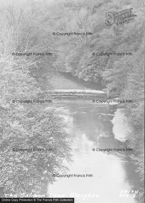 Photo of Sleights, River Esk, The Salmon Leap c.1955