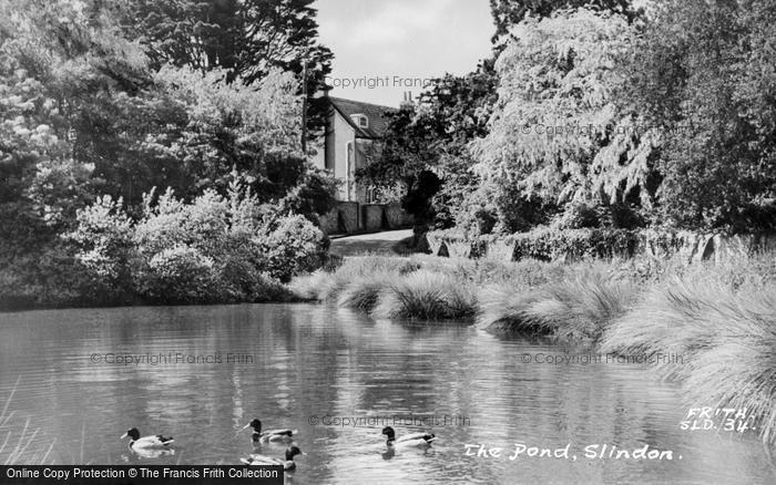 Photo of Slindon, The Pond c.1960