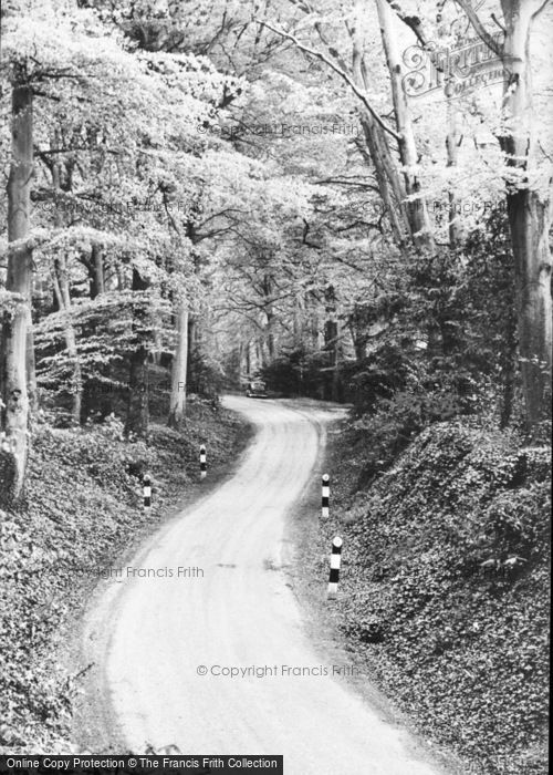 Photo of Slindon, To Court Hill And Woods c.1955