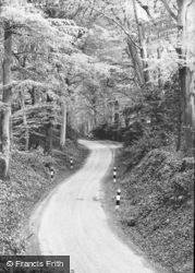 To Court Hill And Woods c.1955, Slindon