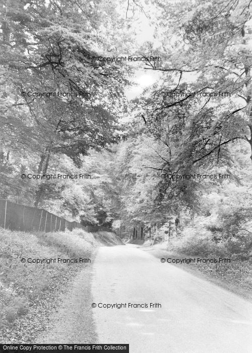 Photo of Slindon, Woods Bottom c.1965