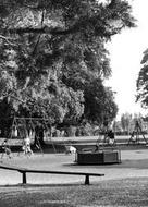 The Recreation Ground c.1955, Soham