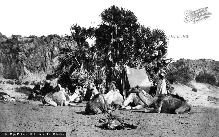 Soleb, Francis Frith's Encampment 1860