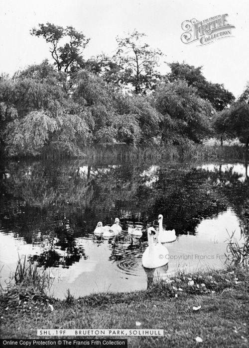 Photo of Solihull, Swans In Brueton Park c.1955