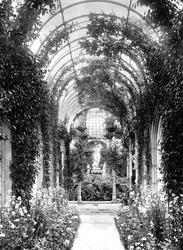 Somerleyton Hall, Winter Garden 1891, Somerleyton