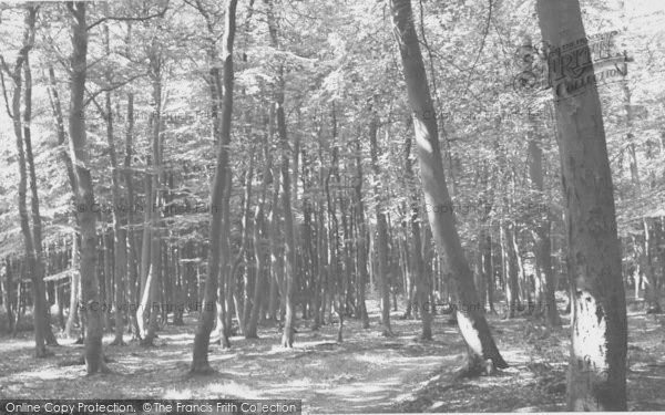 Photo of Sonning Common, The Woods c.1955