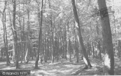The Woods c.1955, Sonning Common