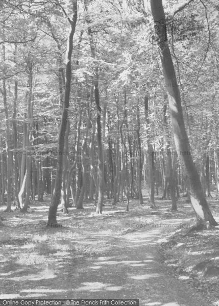 Photo of Sonning Common, The Woods c.1955