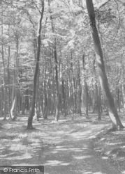 The Woods c.1955, Sonning Common
