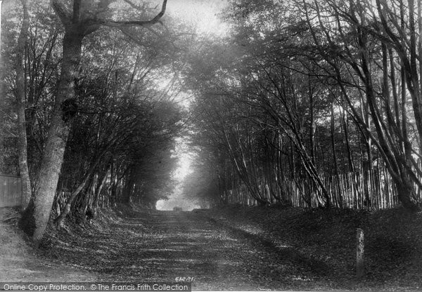 Photo of South Godstone, Danemore Lane 1908