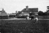 Posterngate Farm 1909, South Godstone