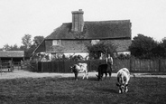 Posterngate Farm 1909, South Godstone