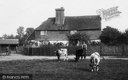 Posterngate Farm 1909, South Godstone